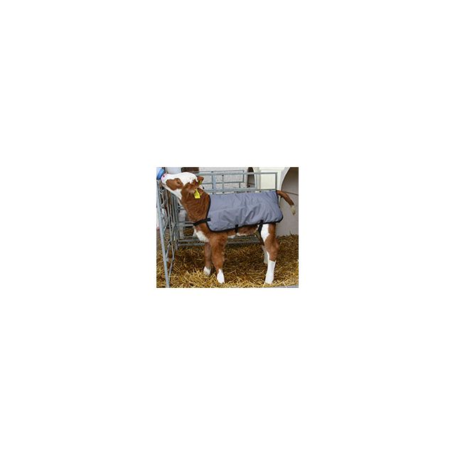 Couverture pour veaux 70 cm