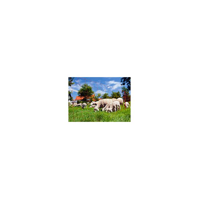 Filet mouton Ovinet 108cm double pointe,
