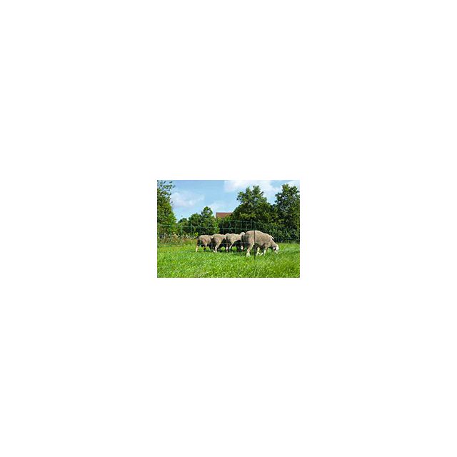 Filet mouton Ovinet 90 cm, 1 pointe, ver