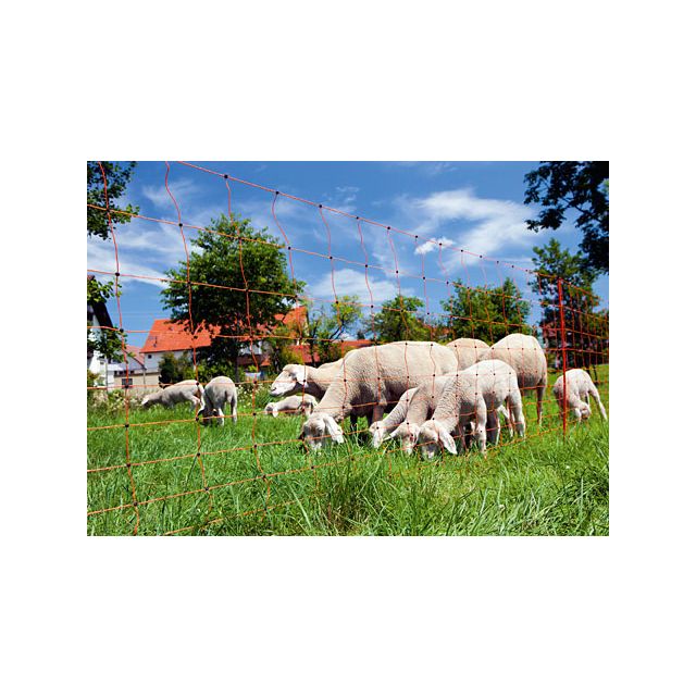 Filet mouton Ovinet 90cm, double pointe,