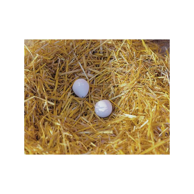 Oeufs de poule en argile par 2 en coque